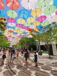Umbrella Sky in Giralda Plaza in Coral Gables, Florida