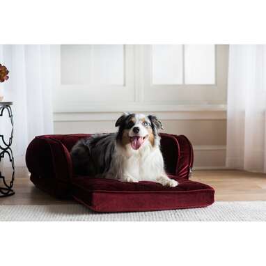 Best for comfort: Duchess Fold-Out Sleeper Dog Bolster Bed