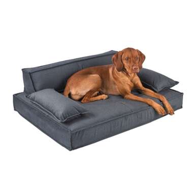 Best for cleaning: Flint Microvelvet Scandinave Pet Sofa