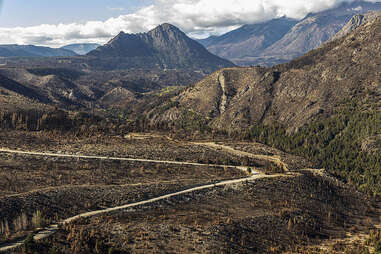 wildfire damage