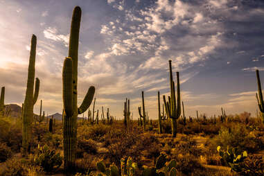 Best Suburbs Near Phoenix: Places You Should Absolutely Go Visit ...