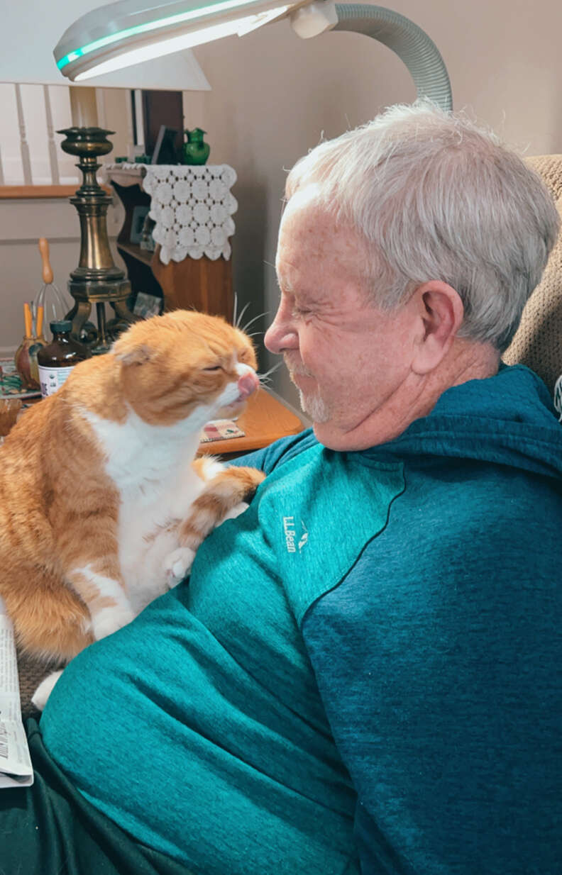 Cat helps Grandpa heal