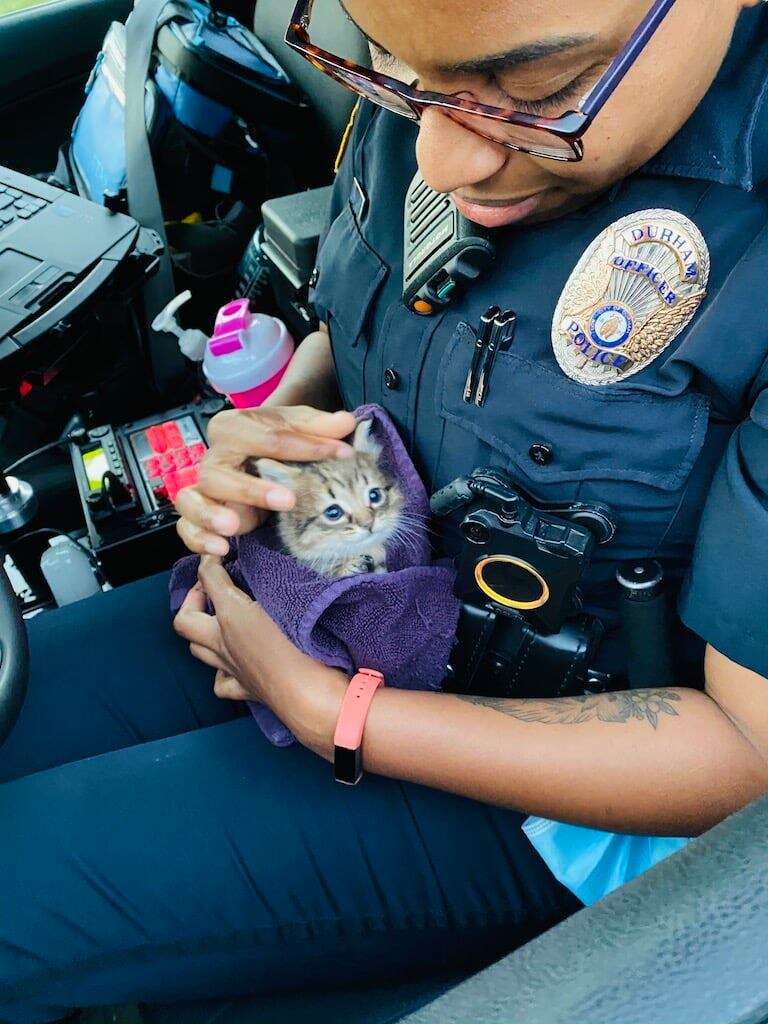 Police Officer Brings His Rescued Kitten To Work Every Day - The Dodo