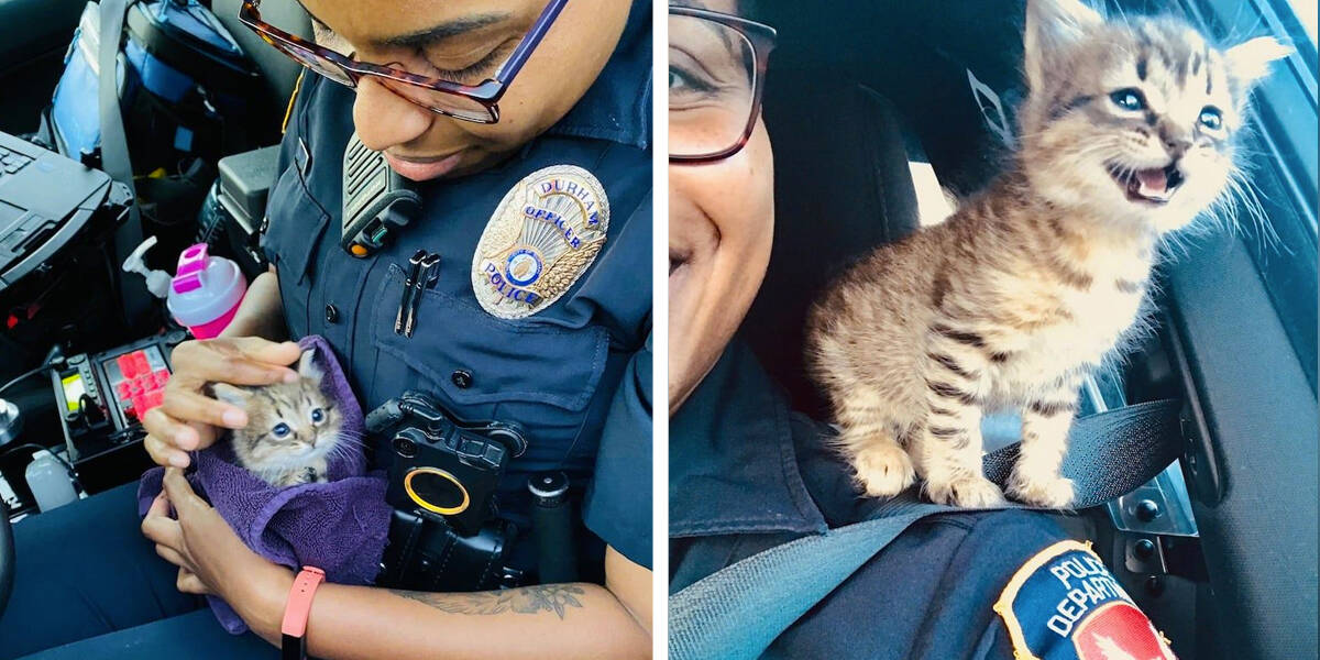 Police cat 'Pawfficer Fuzz' makes friends at center for children