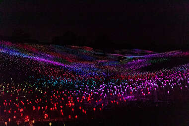 field of light