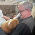 Cat Has Refused To Leave His Grandpa's Side Since The Moment He Realized He Was Sick
