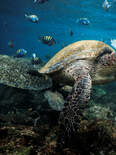 Galapagos Ecuador travel