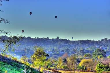 hot air balloons over olivenhain