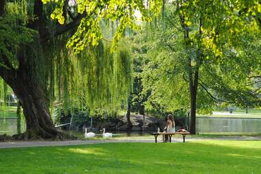 boston common