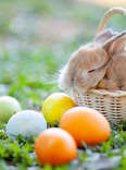 What Does the Easter Bunny Have To Do With Easter?