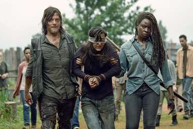 the walking dead