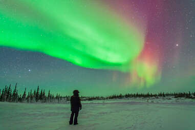 Where, When and How to See Northern Lights in Churchill, Manitoba