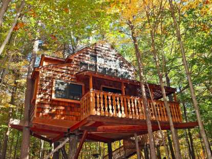 Two story luxury treehouse