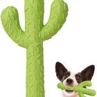 Cactus Tough Toy for Cleaning Teeth
