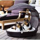 The Refined Canine Outdoor Dog Chaise Bed w/Shade Hood