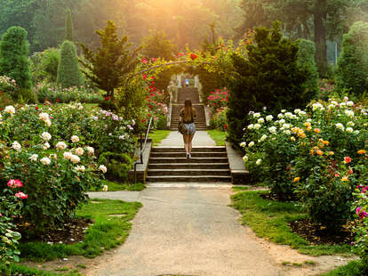 A botanical garden