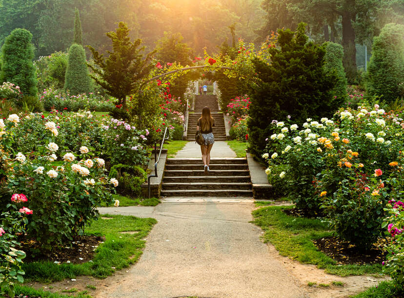 The Most Beautiful Botanical Gardens in the U.S.