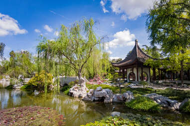 a beautiful Japanese pagoda and gardens
