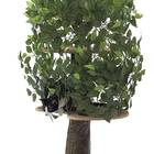 Leafy Cat Tree (Mini)