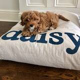 Furlap Cotton Canvas Pet Bed and Duvet