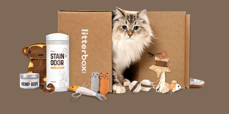 Litter top box subscription