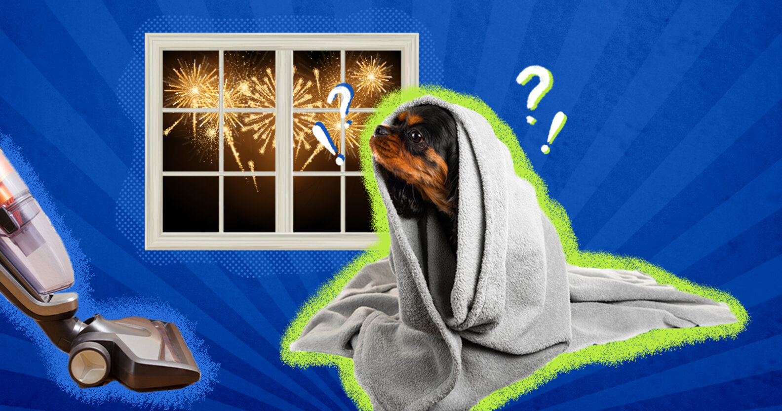 Why Is My Dog Scared Of Everything? DodoWell The Dodo