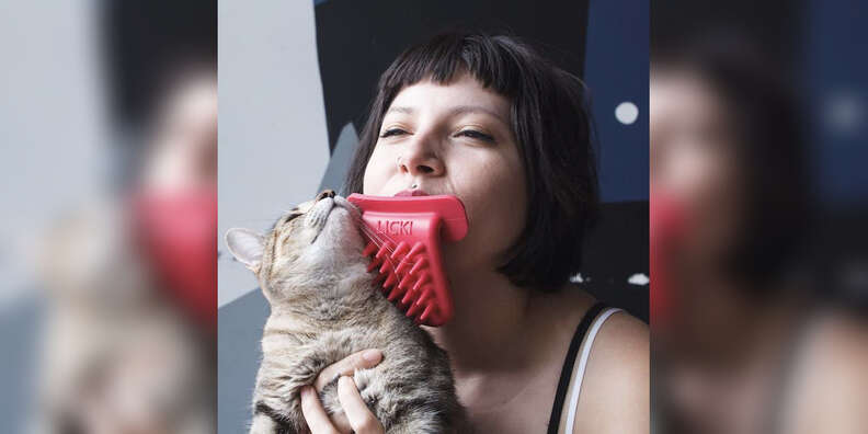 licki cat brush