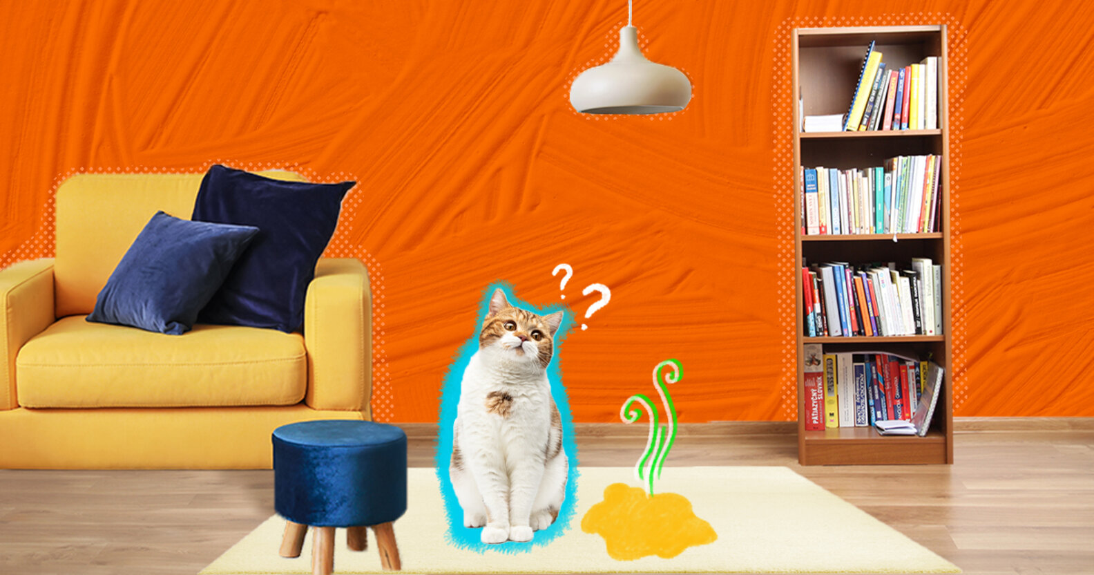 How To Get Cat Pee Out Of Your Carpet DodoWell The Dodo