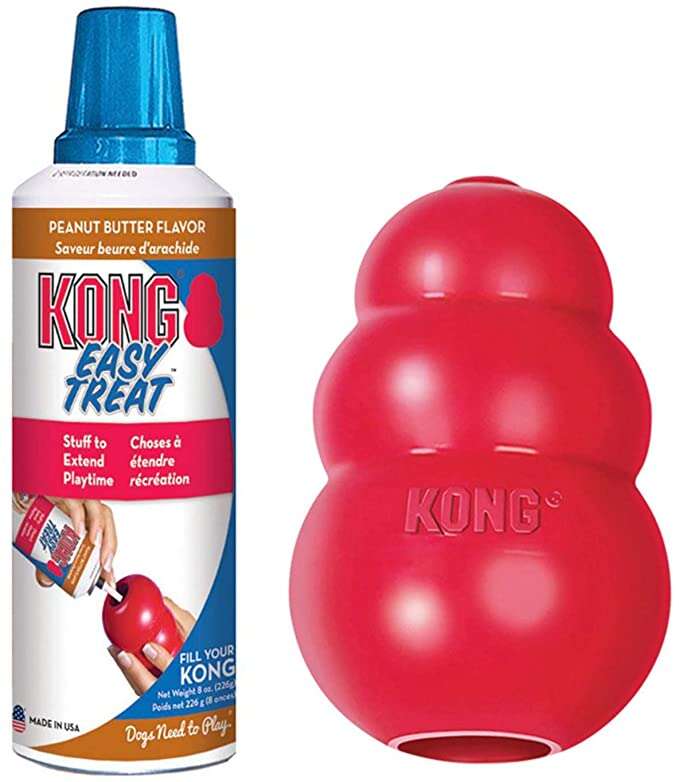 Kong Toy With Peanut Butter Easy Treat