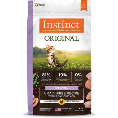 Best Kitten Food: 7 Vet-Recommended Options For Growing Cats - DodoWell
