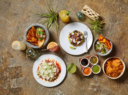 Chorizo Enchilada, Tostada, Root Ceviche Chips & Guac