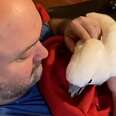 Bird Prefers His Human Dad To His Mom