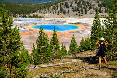the grand prismatic spring in yellowstone