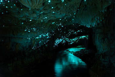 glow worm cave