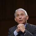 Dr. Fauci Said He Hasn’t Had A Day Off In 14 Months: “I’ll Worry About That Later”