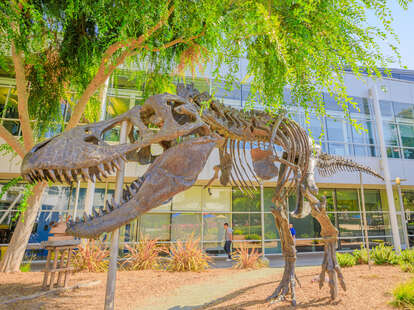 Google Headquarters in Mountain View