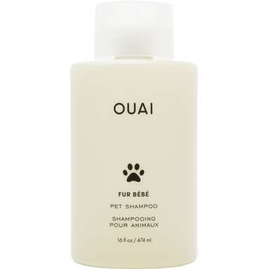 Dog shampoo that smells deals good for a long time