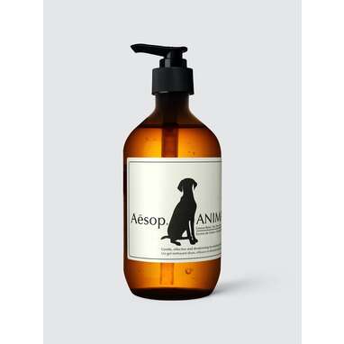 Best-smelling dog shampoo