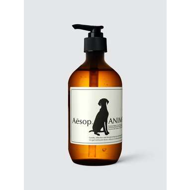 10 Best Smelling Dog Shampoo Options That Will Make Your Pet Smell Ridiculously Great DodoWell The Dodo