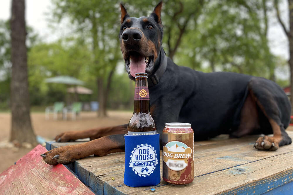 can beer kill a dog