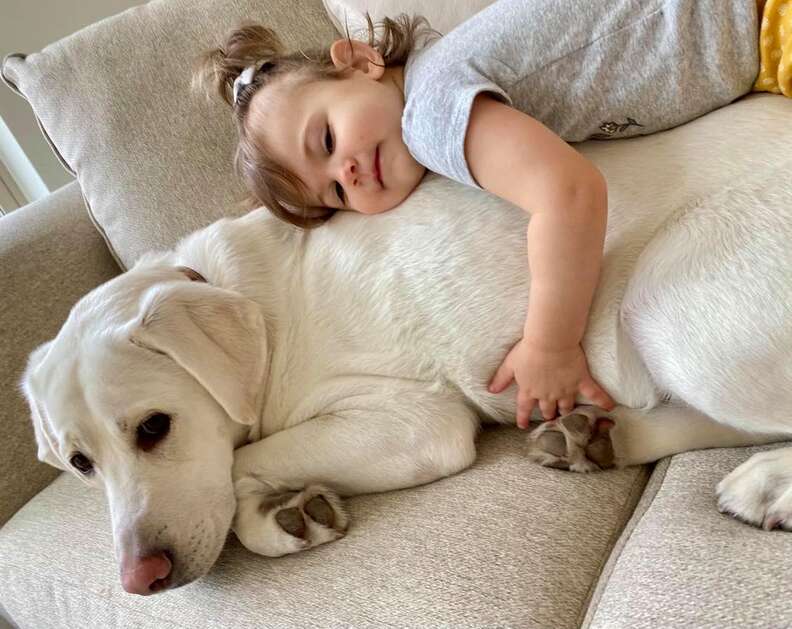 dog and baby cuddling