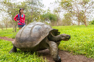 woman looking at turtle