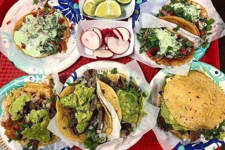 Tacos El Gordo