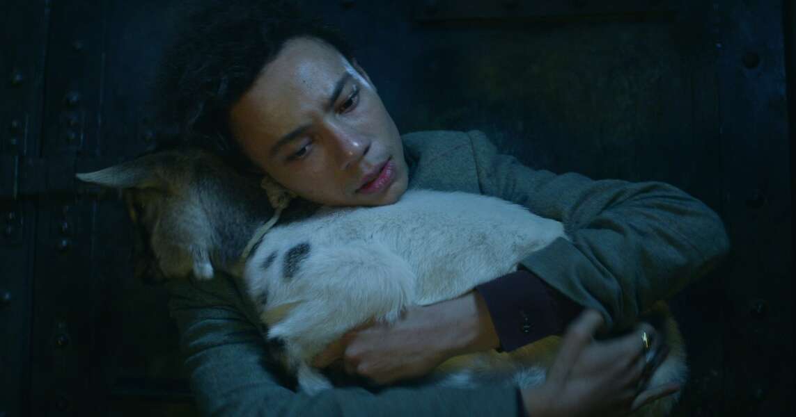 Why Milo the Goat Is the Best 'Shadow and Bone' Character Thrillist