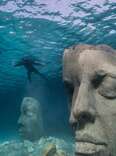 Why The Next Museum You Visit Should Be Underwater