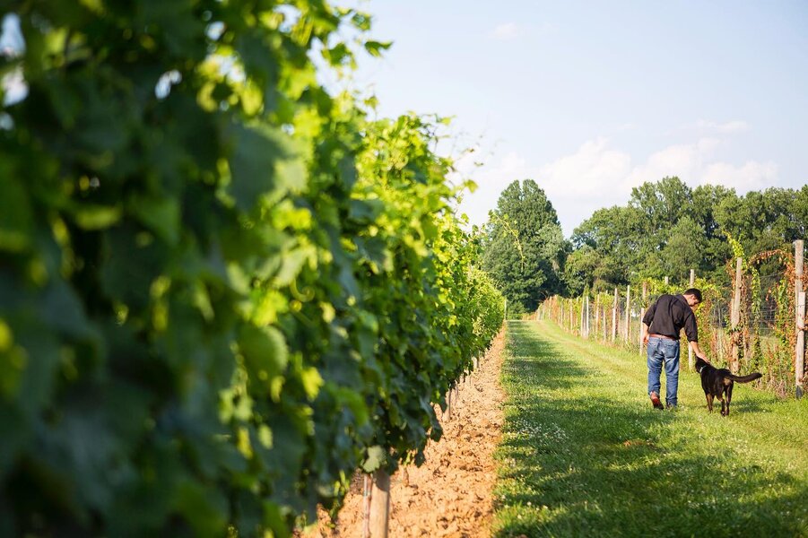 Penns Woods Winery: Chadds Ford, PA - Thrillist