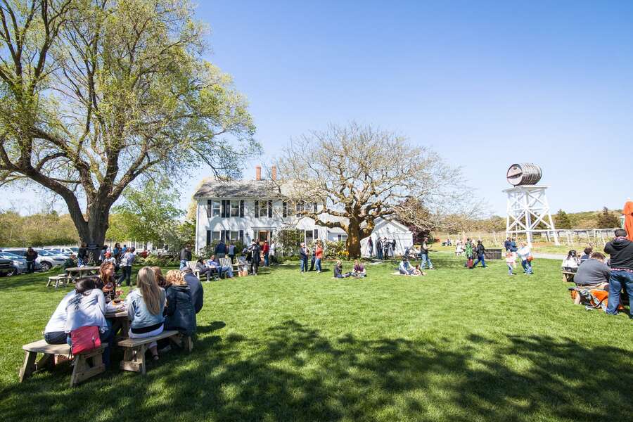 Truro Vineyards of Cape Cod: North Truro, MA - Thrillist