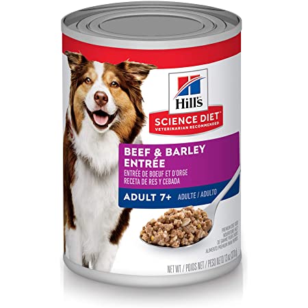 Is Grain Free Dog Food Bad Here s What A Vet Says DodoWell