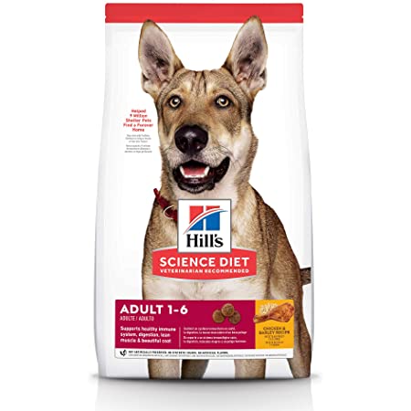 Why are grain free hotsell diets bad for dogs