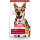 Hill's Science Diet Dry Dog Food, Adult 1-6